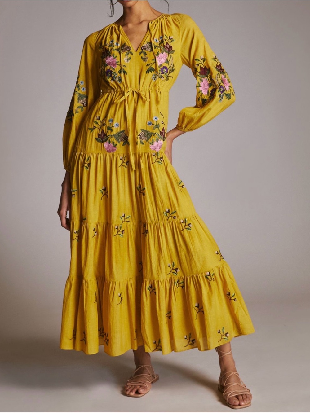 Samant Chauhan for Anthropologie Embroidered Maxi Dress - SP, EUC